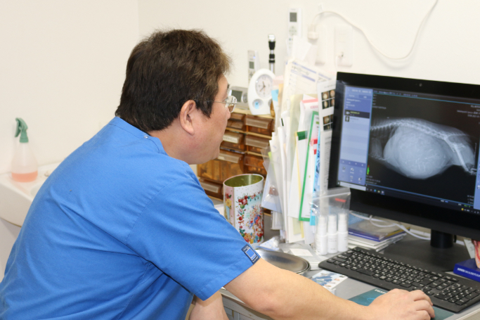 予防の重要性と早期発見のために