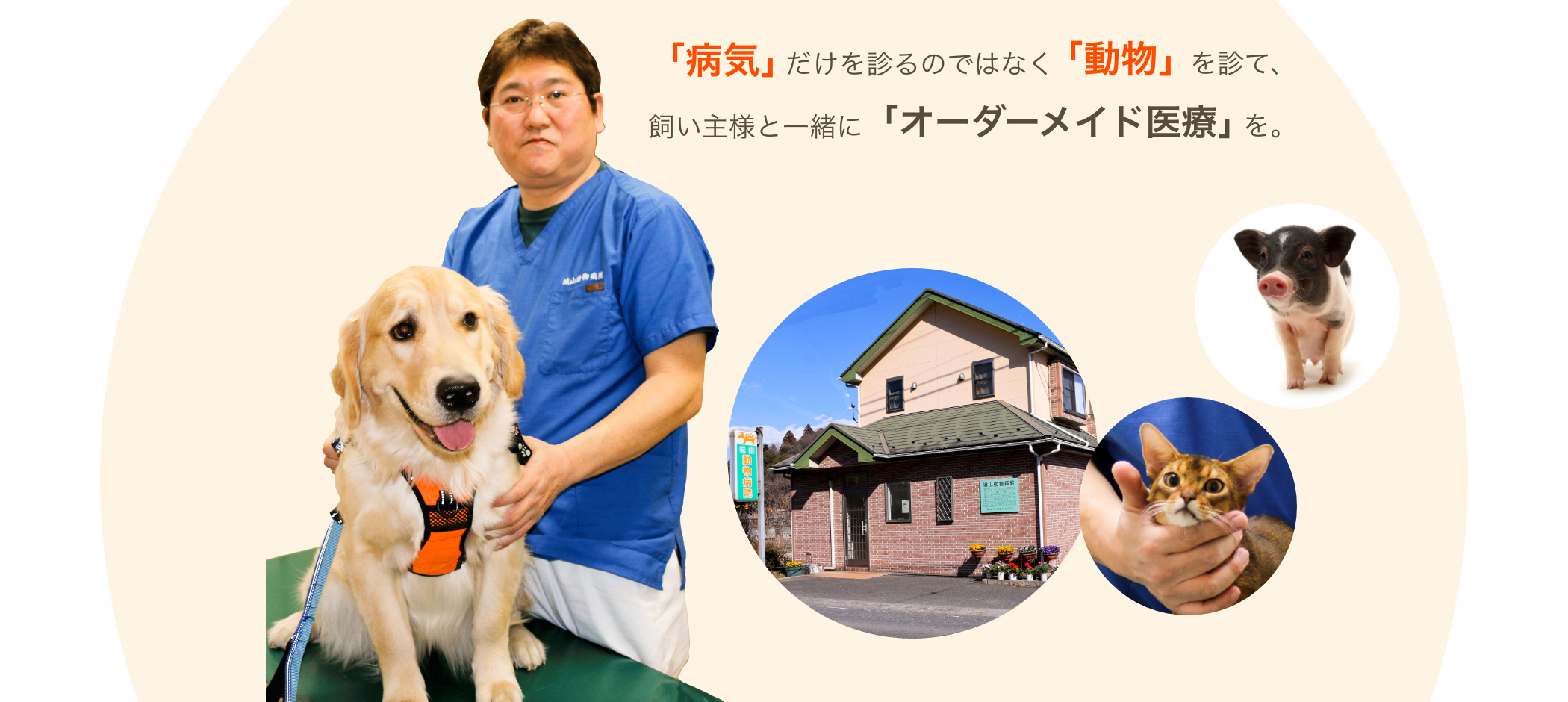 病気だけを診るのではなく動物を診て、飼い主様と一緒にオーダーメイド医療