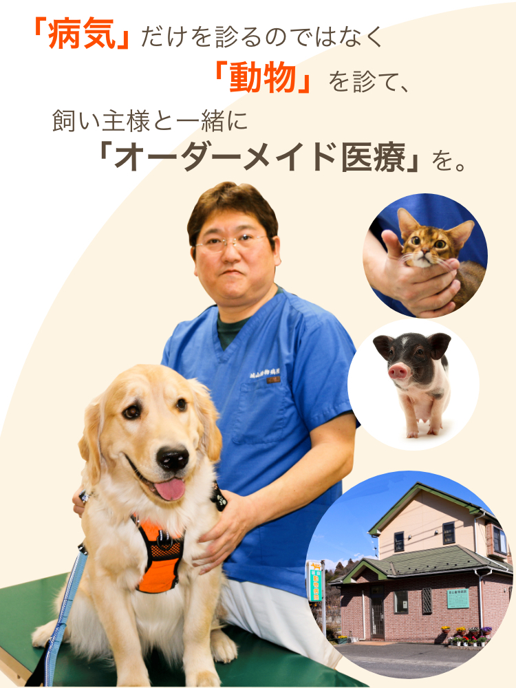 病気だけを診るのではなく動物を診て、飼い主様と一緒にオーダーメイド医療